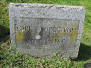 Borgstrom, Carl V